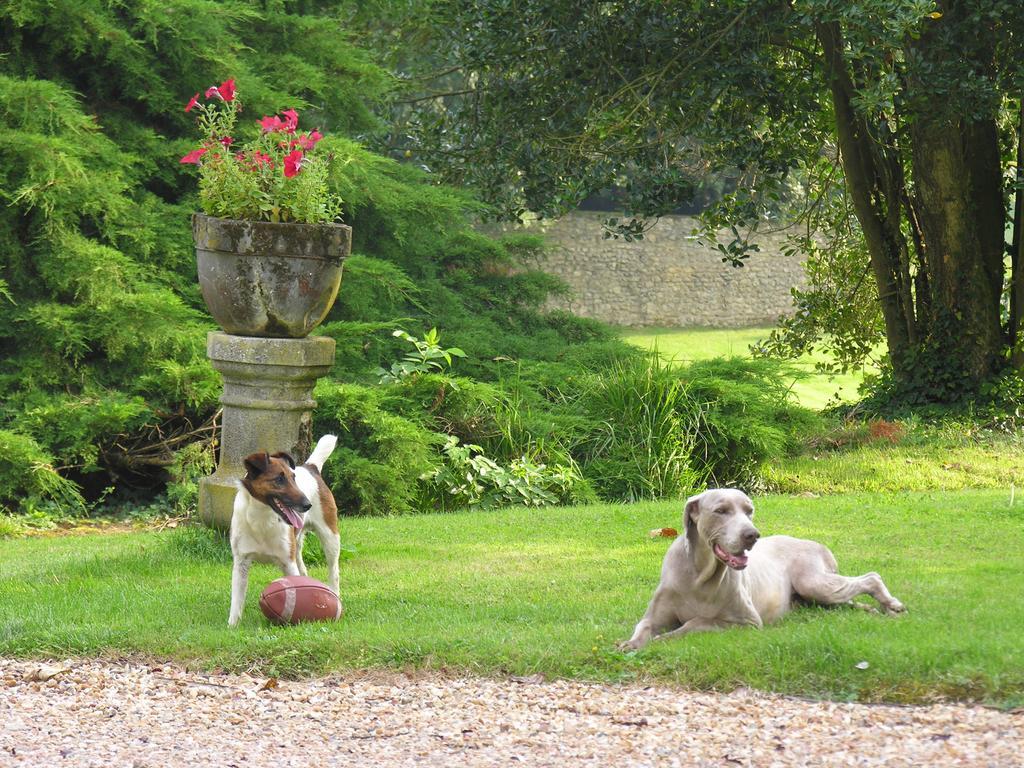 Chateau De La Barre Conflans-sur-Anille Εξωτερικό φωτογραφία